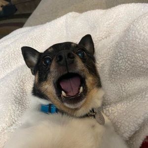 Meet your Posher, Kasey